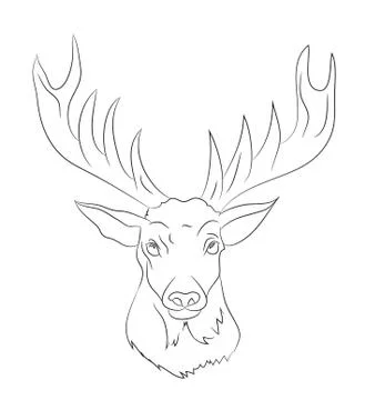 Deer portrait lines, vector Illustrazione stock