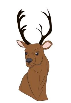 Deer portrait, vector Illustrazione stock