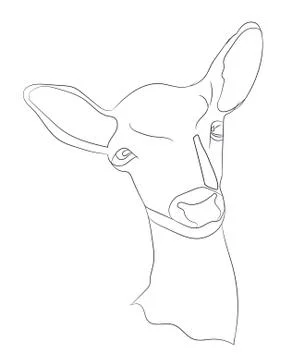 Deer portrait, vector Stock Illustration