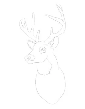 Deer portrait vector illustration, line drawing, vector Illustrazione stock