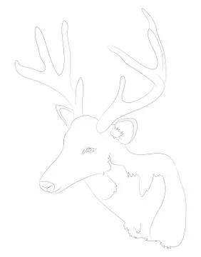 Deer portrait vector illustration, line drawing, vector Illustrazione stock