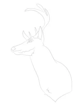 Deer portrait vector illustration, line drawing, vector Illustrazione stock