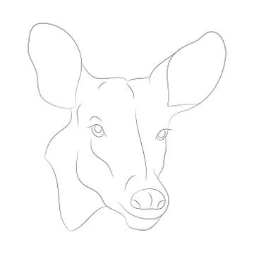 Deer portrait vector illustration, line drawing, vector Stock-Illustration