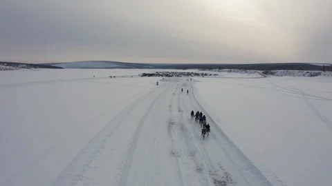 Deer Racing on Ice Stock Footage 302891422