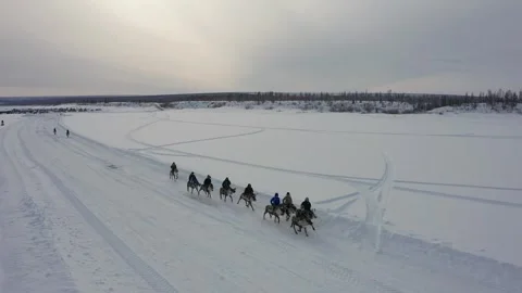 Deer Racing on Ice Stock Footage 302891447