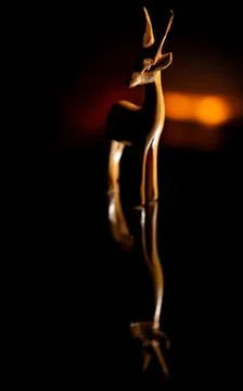 Deer Reflection Illuminated by the Light of a Flame Stock Photos