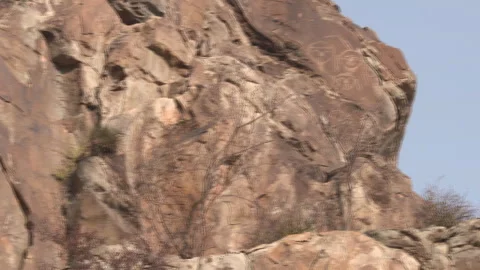 The deer on the rocks of Helan Mountain Rock Painting Site Park in Yinchuan. Stock Footage 247943313