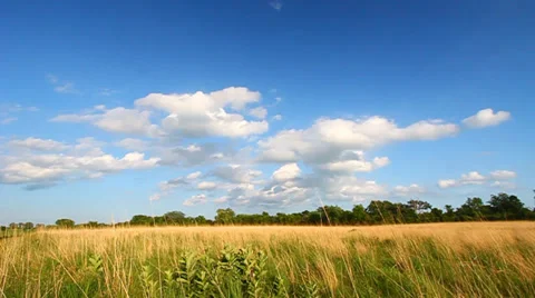 Deer Run Forest Preserve Illinois Video stock 34863724