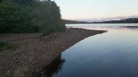 Deer running along Dunlewey lake Stock Footage 253175553