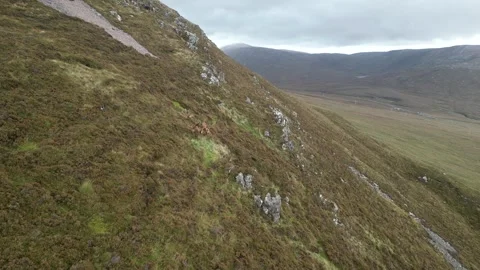 Deer running along side of Errigal mountain Stock Footage 253175582