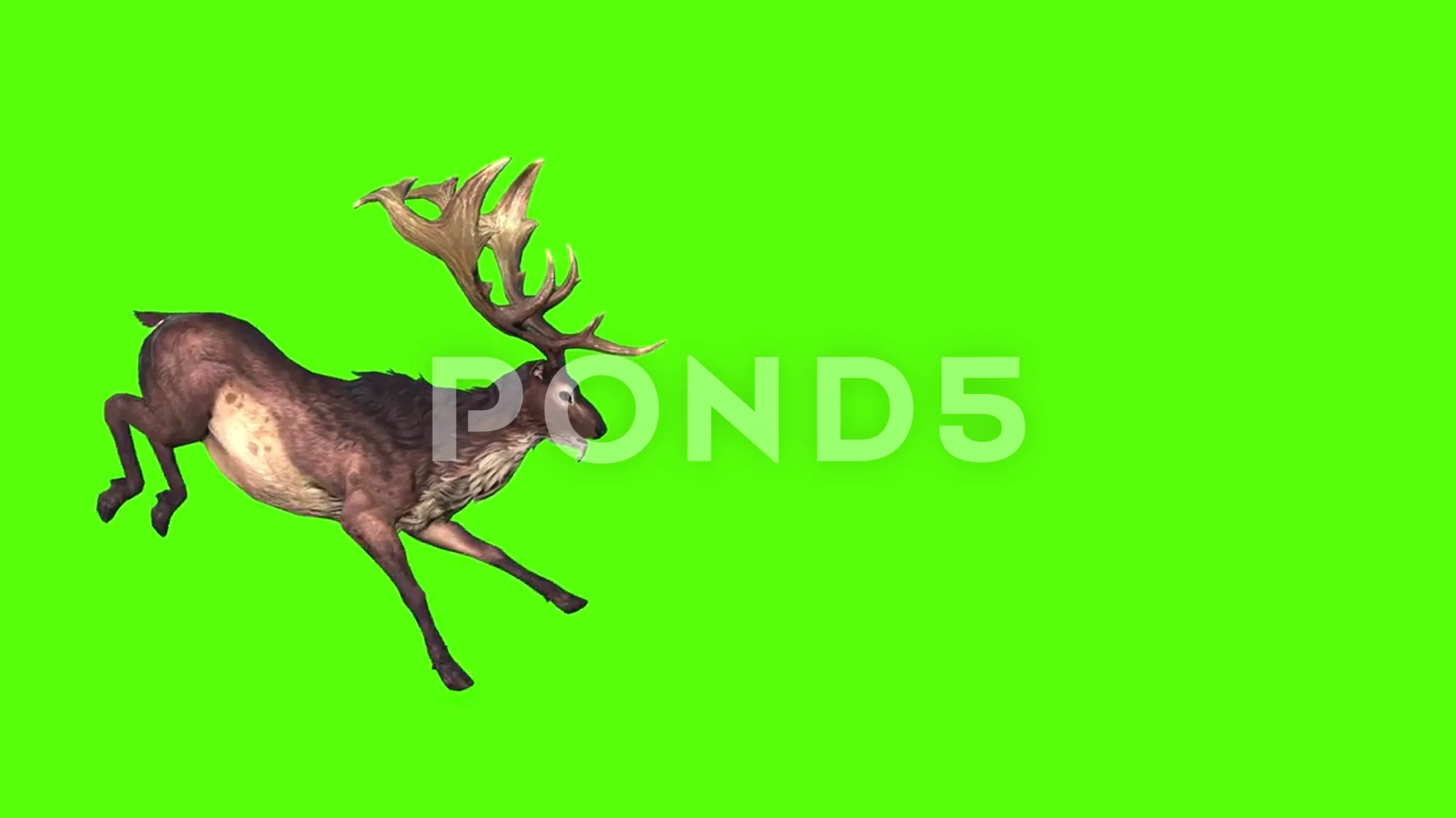 Deer screen deals