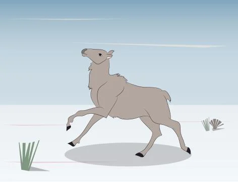 Deer running in the mountains Stock-Illustration