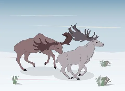 Deer running in the mountains Stock-Illustration