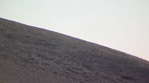 Deer Running Over Grassy Ridge Stock Footage 105989846