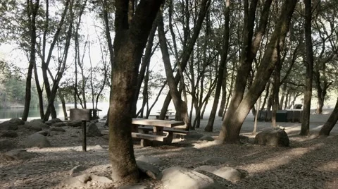 Deer Running Through Picnic Spot Stock Footage 46216956