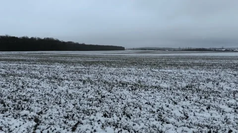 Deer Running Winter Time on a Field Migrating Drone Aerial Shot Stock Footage 139716921