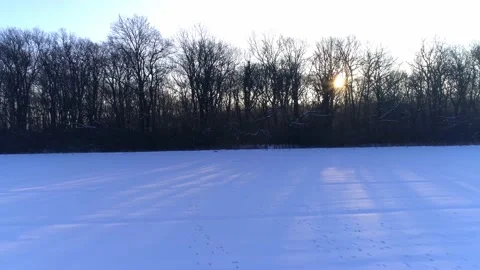 Deer Running Winter Time on a Field Migrating Drone Aerial Shot Vídeo Stock 139717656
