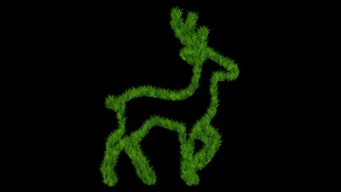 Deer shape with growing green grass effect on plain black background Stock Footage 337783217