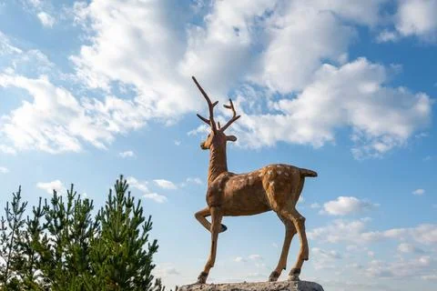 Deer sideways on a background of blue sky with clouds and forests Stock Photos