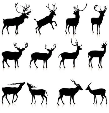 Deer Silhouette Collection Stock Illustration