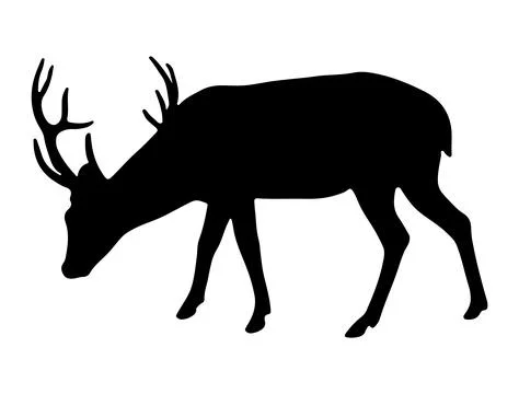 Deer silhouette vector art Stock Illustration