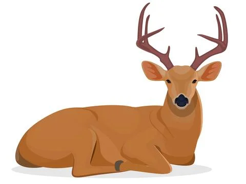 Deer sitting Stock Illustration