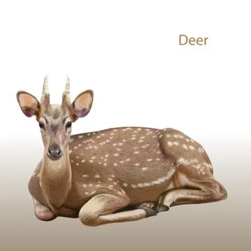 Deer in sitting pose Illustrazione stock