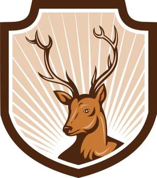 Hand Drawn Deer Antlers Images – Browse 16,605 Stock Photos, Vectors, and  Video