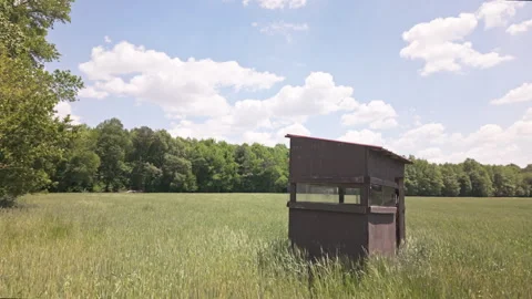 Deer stand hunting blind sits in green wheat field on the forest edge in the Stockbeeldmateriaal 337181308