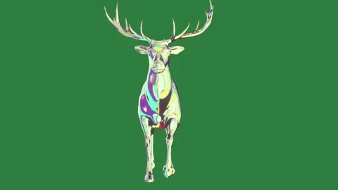 A deer is standing Видео 337035018