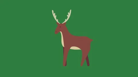 Deer standing in front of on isolated isolated on green screen background Stock Footage 336890491