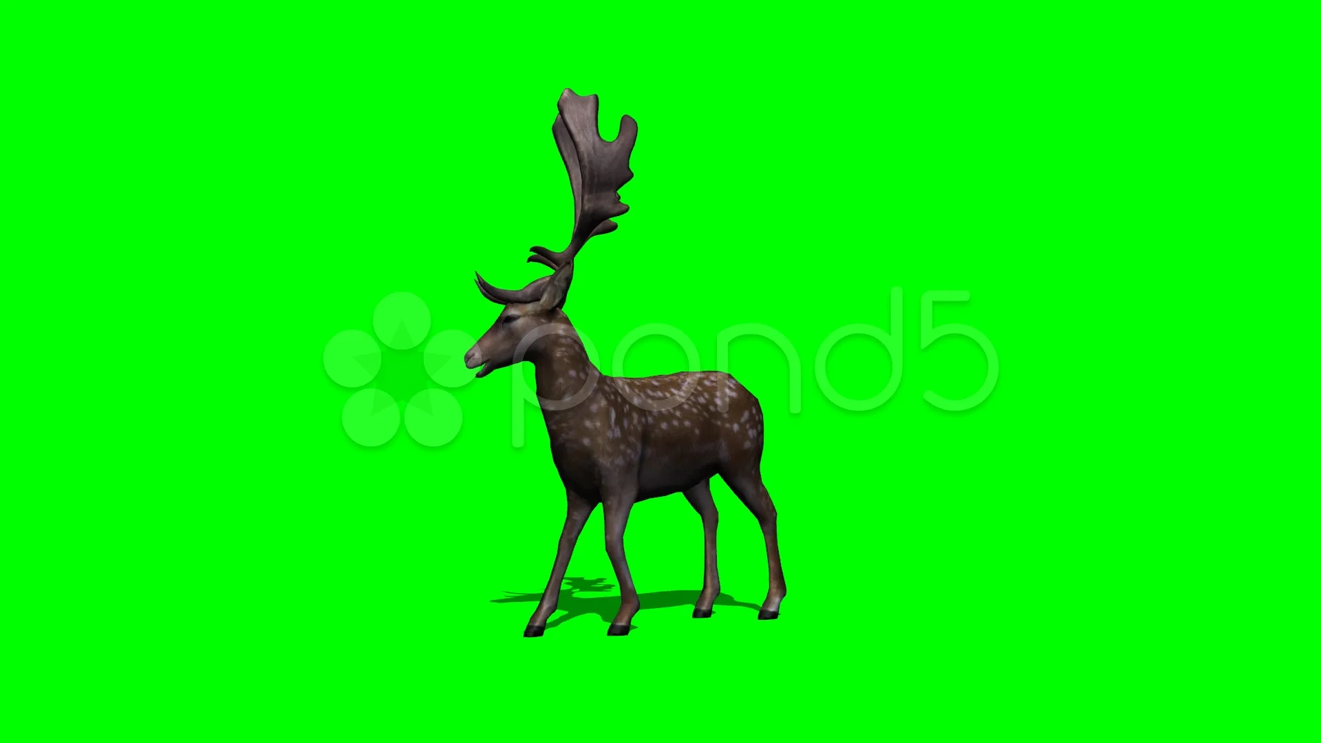 Семена green deer донник. Green deer. Green deer. Green deer. Зеленый олень.