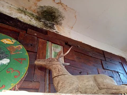 Deer statue on the cupboard 写真素材