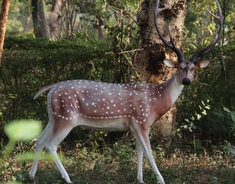 Deer statue in the forest Stock Photos