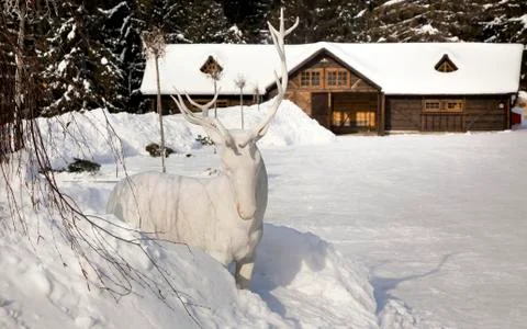 Deer statue in snow Stock Photos