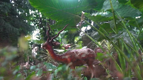 Deer statue surrounded by trees Stock Footage 141110388