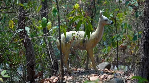 The Deer Statue View Stock Footage 313570854