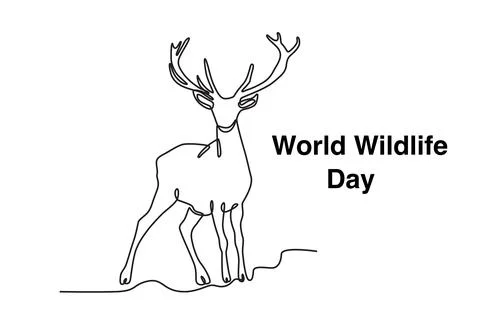 A deer stood gallantly Stock Illustration