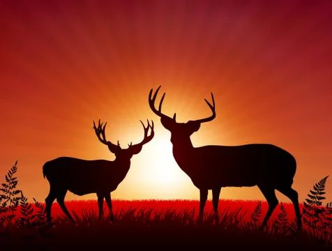 Deer on Sunset Background Stock Illustration