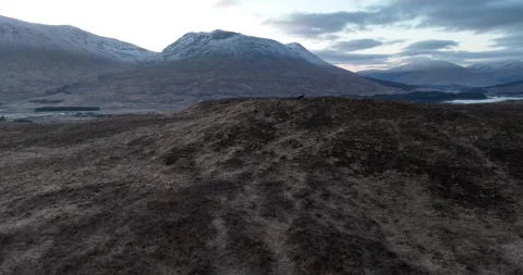 Deer Surrounded by Mountains in Scotland Stock Footage 240197346