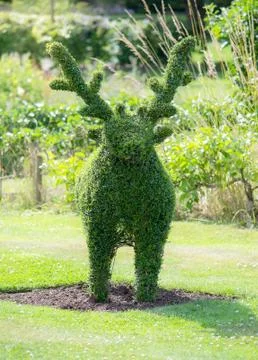 Deer topiary in garden Stock Photos