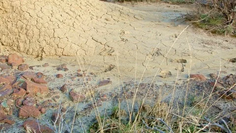 Deer tracks in mud Painted Hills Oregon 42 Stock Footage 82002483