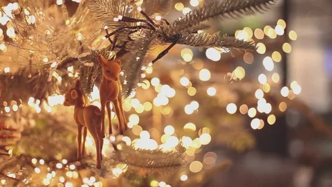 Deer in tree christmas smooth pan Stock Footage 84559733