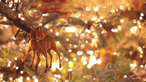 Deer in tree christmas smooth pan II Stock Footage 84559840