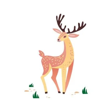 Deer vector hand drawn illustration. Wild animal with antlers drawing in flat Stock Illustration