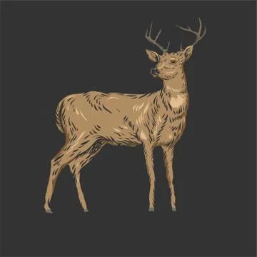 Deer vector illustration art Stock Illustration