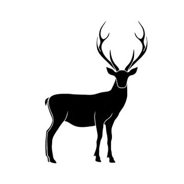 Deer vector isolated illustration. Stag wildlife drawing. Stock Illustration