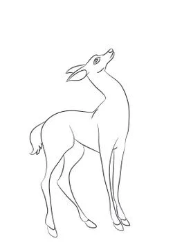Deer vector line Stock Illustration