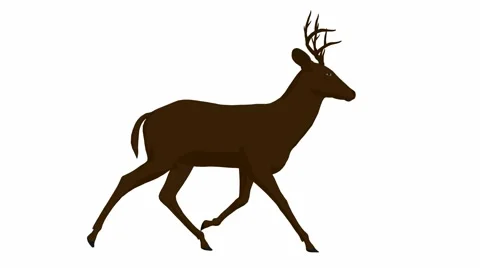 Deer walking Stock Footage 941918