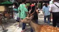 Deer Walking Thru Group Of People Nara Japan 4k or 4k+ Resolution